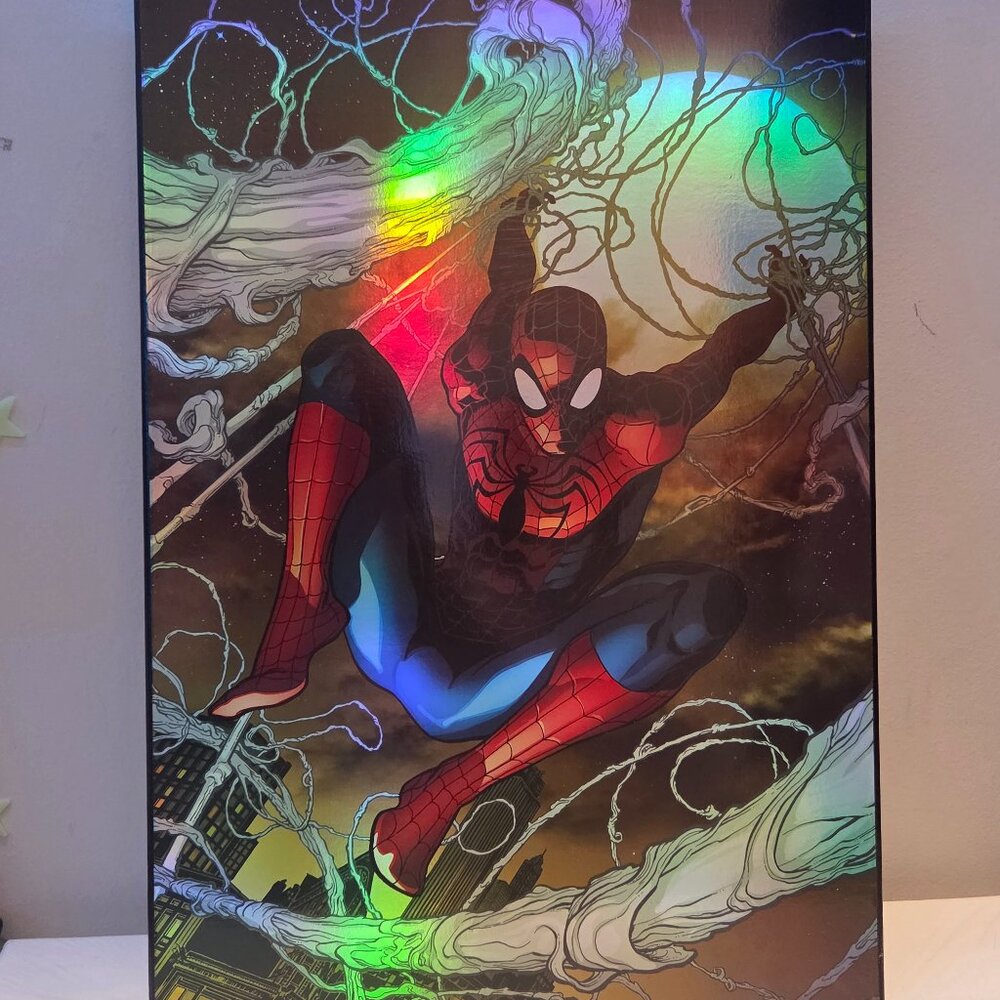 Spiderman Hanging Wall  Décor